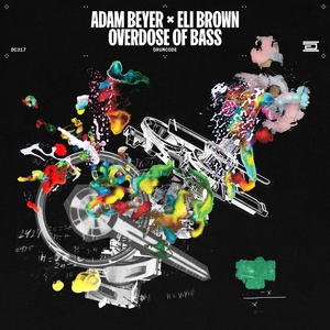 成人动漫中文网
