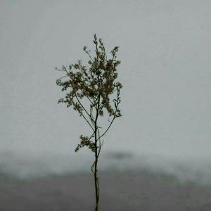 成人动漫中文网
