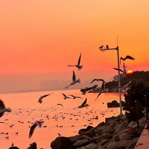 成人动漫中文网
